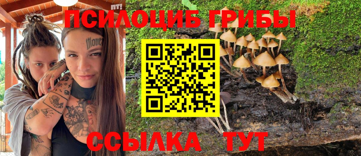 Галлюциногенные грибы Cubensis  Вход с VPN  Красноуфимск 